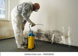 Best Mold Prevention Services  in Brooksi, DE